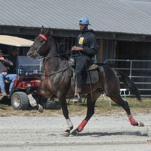 Meet your Posher, Johnthan